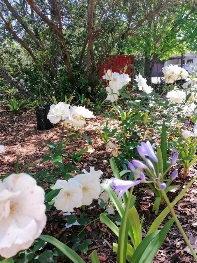 The Red Gate Suite For Garden Route Tranquility George Exteriör bild