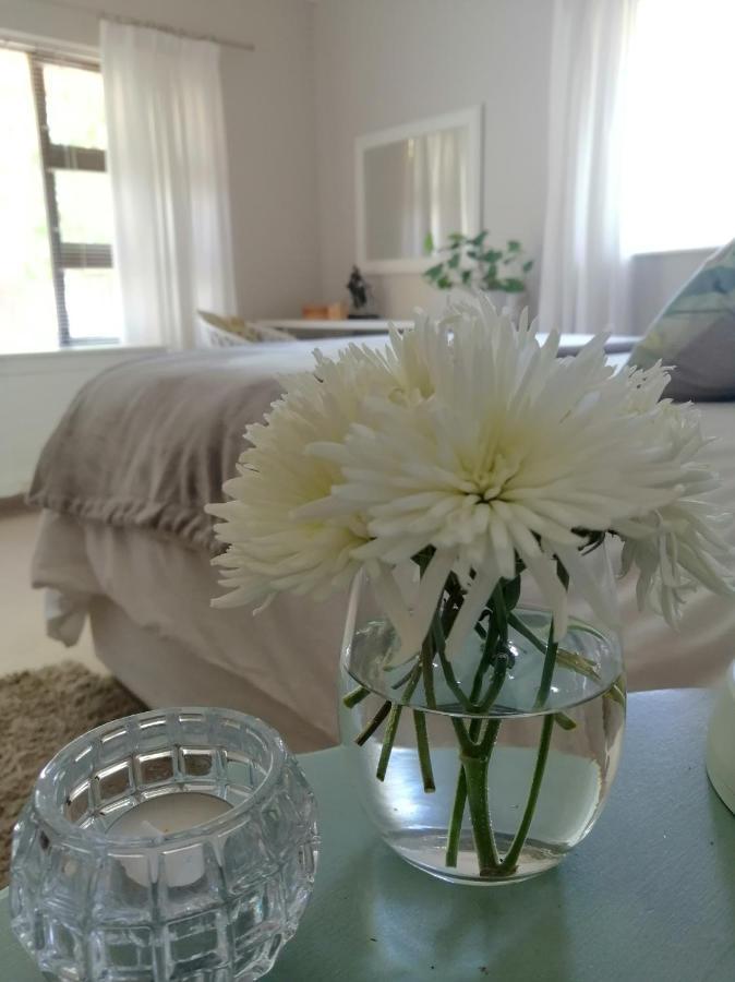 The Red Gate Suite For Garden Route Tranquility George Exteriör bild